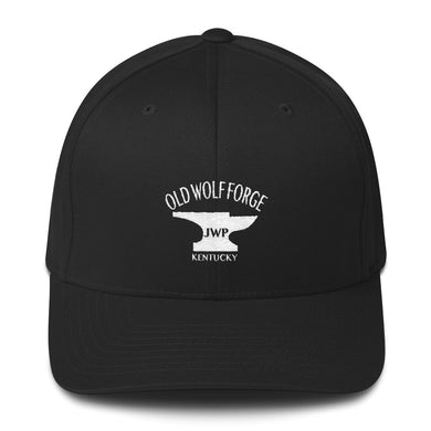 OWF FITTED HAT